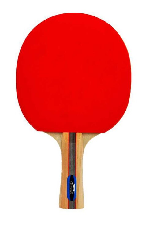 Slazenger Champion ITTF Onaylı Masa Tenis Raketi Unisex STD Masa Tenisi Raketi