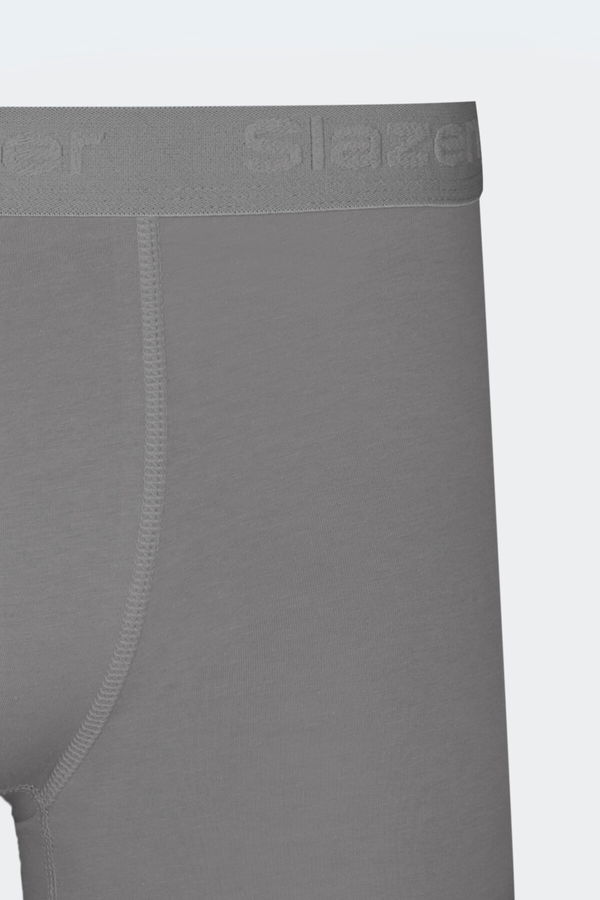 Slazenger JADAX 3 lü Set Erkek Gri Boxer
