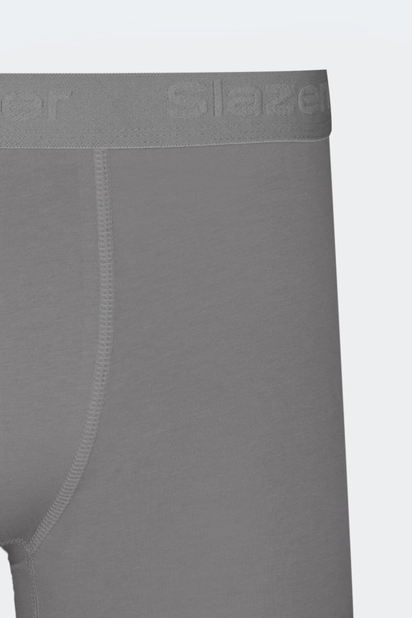 Slazenger JADAX 3 lü Set Erkek Gri Boxer