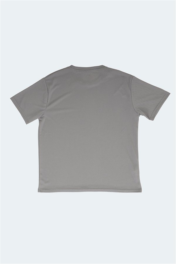 Slazenger ODALIS Büyük Beden Erkek Kısa Kol T-Shirt Açık Gri